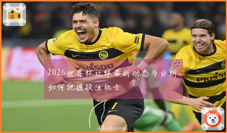 2026世界杯让球最新动态与分析，如何把握投注机会
