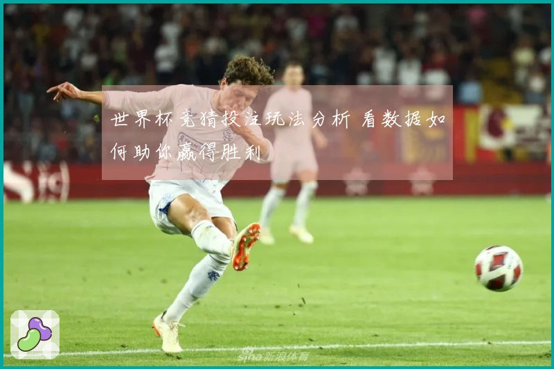 世界杯竞猜投注玩法分析 看数据如何助你赢得胜利
