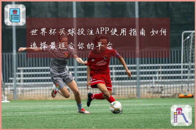 世界杯买球投注APP使用指南 如何选择最适合你的平台