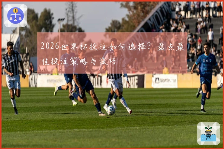 2026世界杯投注如何选择？盘点最佳投注策略与技巧