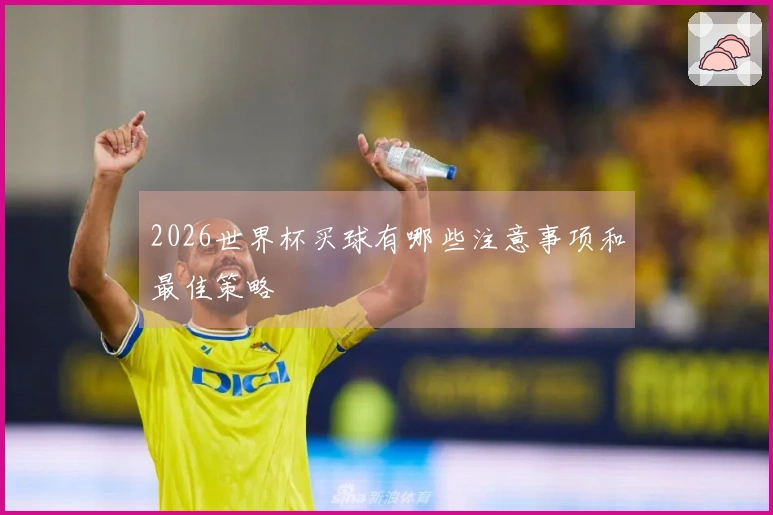 2026世界杯买球有哪些注意事项和最佳策略